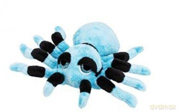 Tarantula niebieska