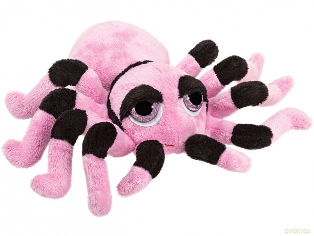 Tarantula różowa