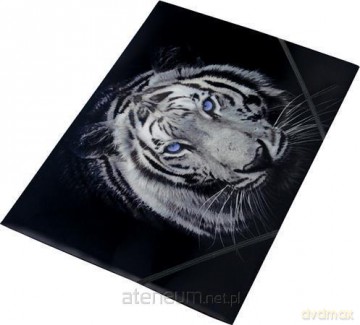 Teczka na gumkę A4 z nadrukiem Tiger