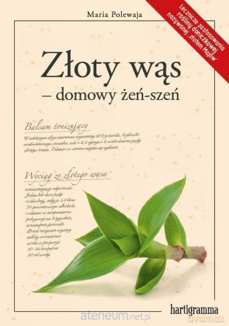 Złoty wąs - domowy żeń-szeń - Maria Polewaja [KSIĄŻKA]