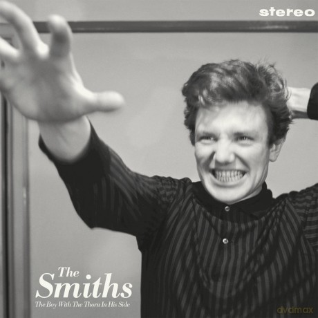 The Smiths: The Boy With The Thorn In His Side [Winyl]