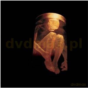 Alice In Chains: Nothing Safe - The Best Of The Box [CD]