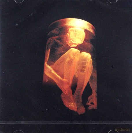 Alice In Chains: Nothing Safe - The Best Of The Box [CD]