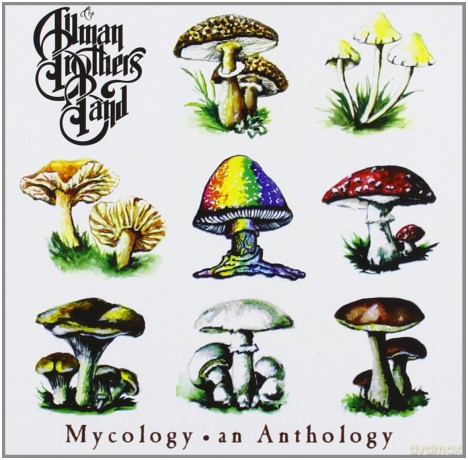 The Allman Brothers Band: Mycology  An Anthology [CD]