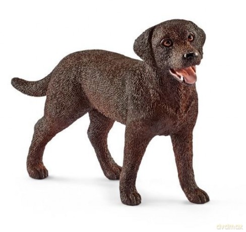 Labrador Retriever Suczka [FIGURKA]