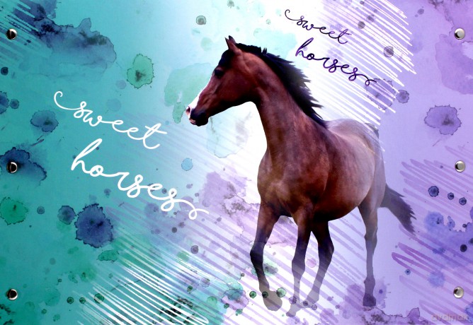 Teczka z rączką A4 Horses