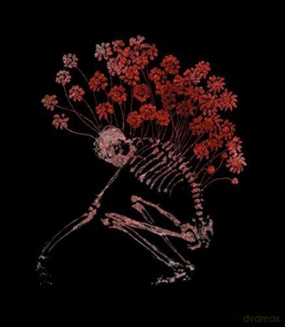 Tenhi: Folk Aesthetic 1996-2006 [3xWinyl]