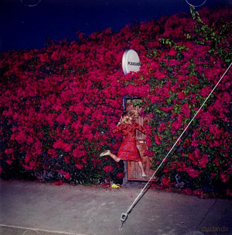 Feist: Pleasure (PL) [CD]