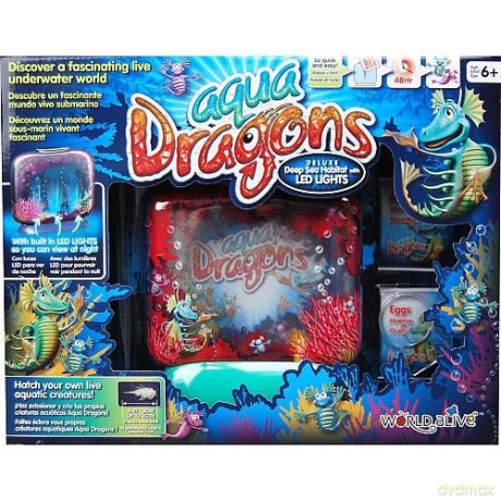 Aqua Dragons Zestaw podstawowy z lampką LED