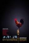 Idlewild [DVD]