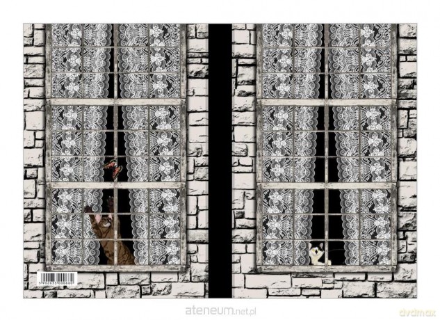 Notes Gee Lace Curtains