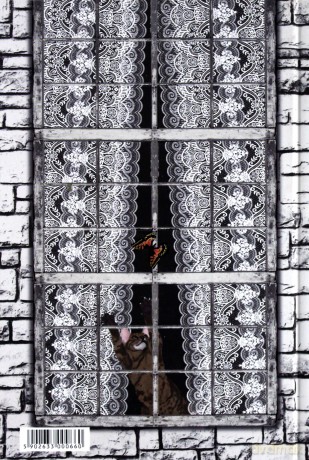 Notes Gee Lace Curtains