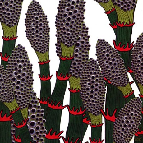 Part Chimp: IV (digipack) [CD]