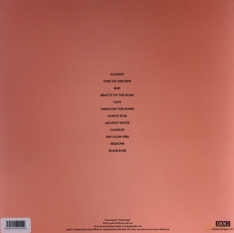 Future Islands: The Far Field (Limited Edition) [Winyl]