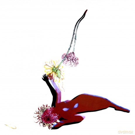 Future Islands: The Far Field (Limited Edition) [Winyl]