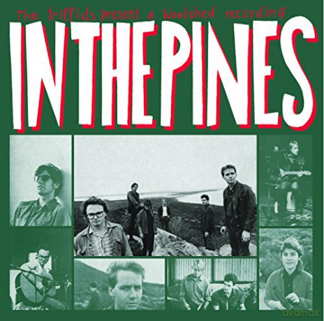 The Triffids: In The Pines [CD]