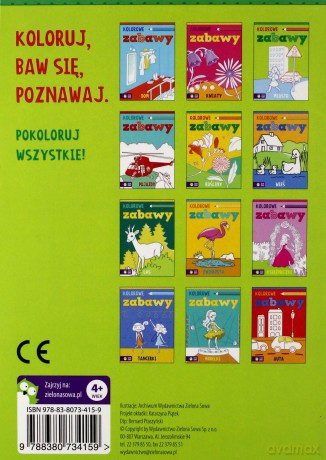 Miasto. Kolorowe zabawy [KSIĄŻKA]