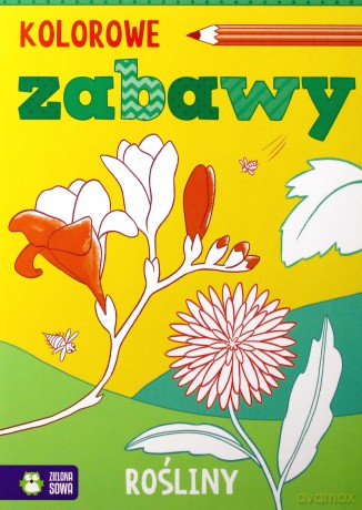 Rośliny Kolorowe zabawy [KSIĄŻKA]