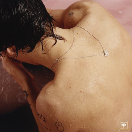 Harry Styles: Harry Styles [Winyl]