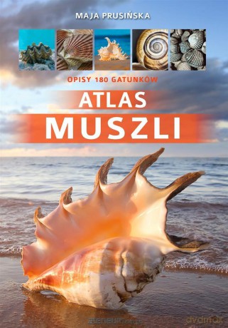 Atlas muszli - Maja Prusińska [KSIĄŻKA]