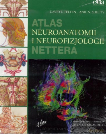 Atlas neuroanatomii i neurofizjologii Nettera - D.L.Felten, A.N.Shetty [KSIĄŻKA]