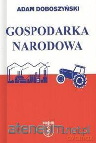 Gospodarka narodowa - Adam Doboszyński [KSIĄŻKA]