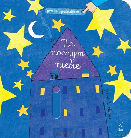 Przesuń paluszkiem. Na nocnym niebie [KSIĄŻKA]