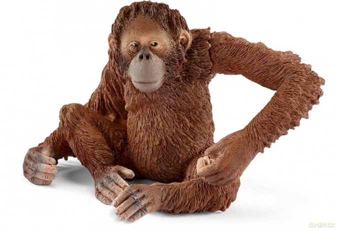 Orangutan samica [FIGURKA]