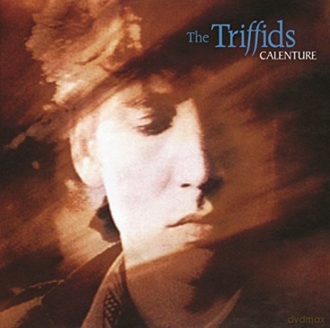 The Triffids: Calenture [2CD]