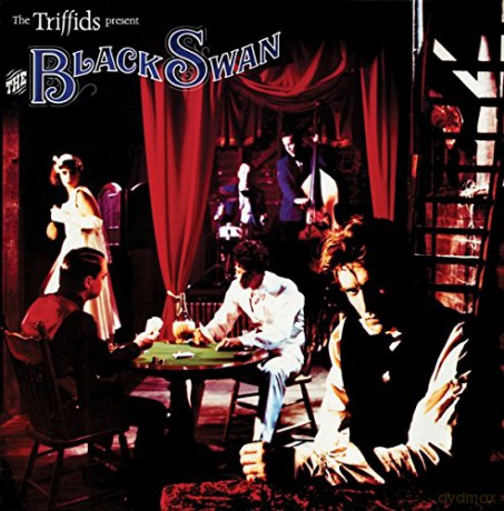 The Triffids: The Black Swan [2CD]