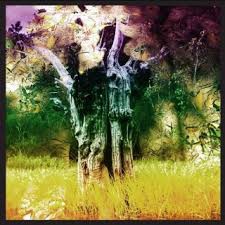 Animal Collective: Meeting Of The Waters [Winyl]