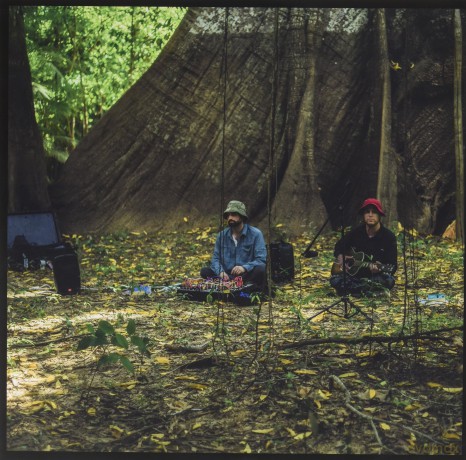 Animal Collective: Meeting Of The Waters [Winyl]