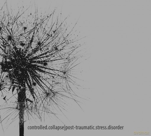 Controlled.Collapse: Post-Traumatic.Stress.Disorder [CD]