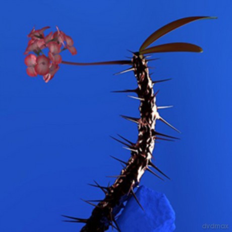 Flume: Skin Companion EP 2 [Winyl]
