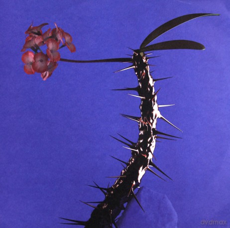 Flume: Skin Companion EP 2 [Winyl]