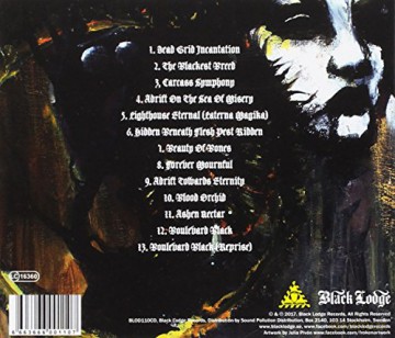 Netherbird: The Ghost Collector [CD]