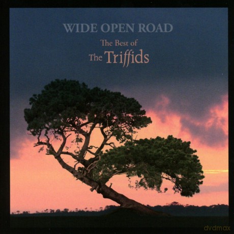 The Triffids: Wide Open Road The Best Of The Triffids [CD]