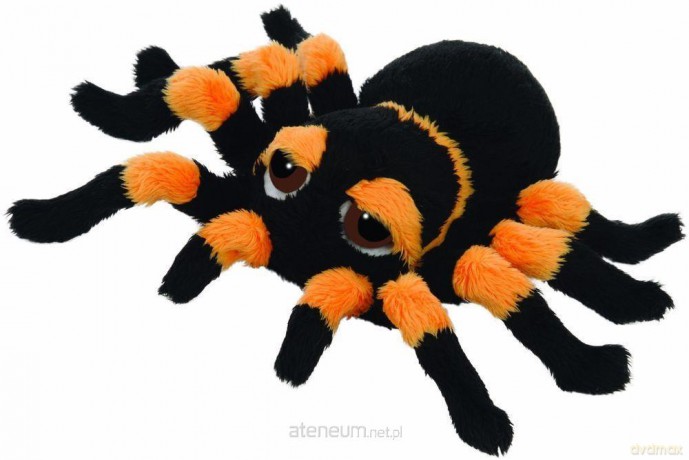 Duża Tarantula 82 cm
