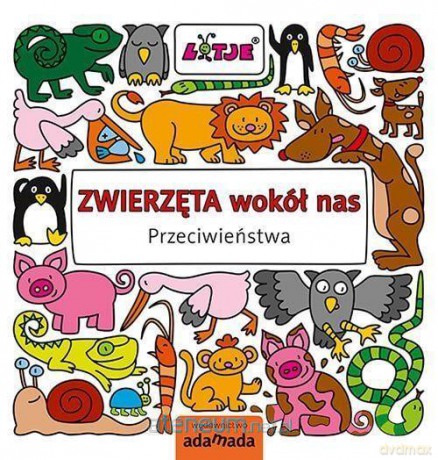 Zwierzęta wokół nas. Przeciwieństwa - Lizelot Versteeg [KSIĄŻKA]
