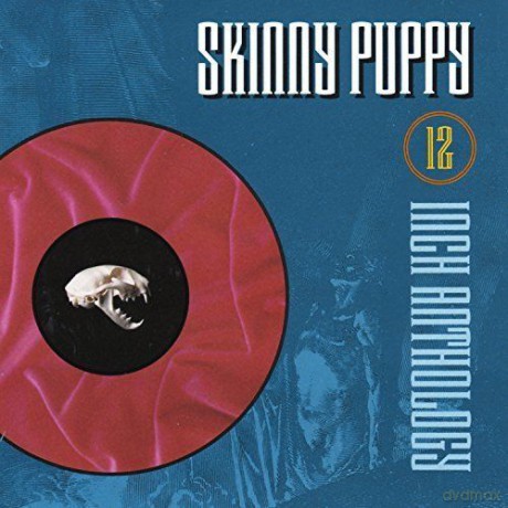 Skinny Puppy: 12 Inch Anthology [CD]