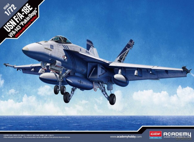 USN F/A-18E VFA -143 Pukin Dogs