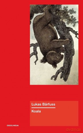 Koala - Lukas Barfuss [KSIĄŻKA]
