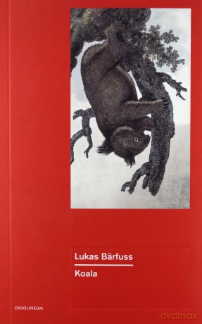 Koala - Lukas Barfuss [KSIĄŻKA]