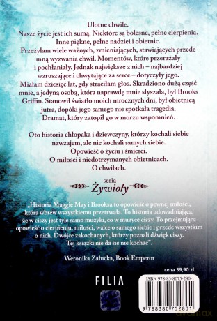 Woda, która niesie ciszę. Żywioły (Tom 3) - Brittainy C. Cherry [KSIĄŻKA]