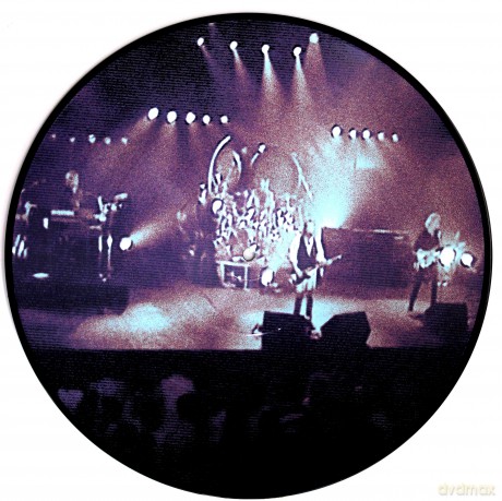 Asia: Access All Areas (Picture) [Winyl]