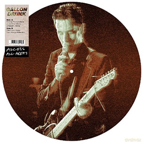 Gallon Drunk: Access All Areas (Picture) [Winyl]