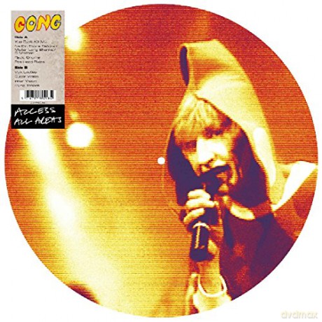 Gong: Access All Areas (Picture) [Winyl]