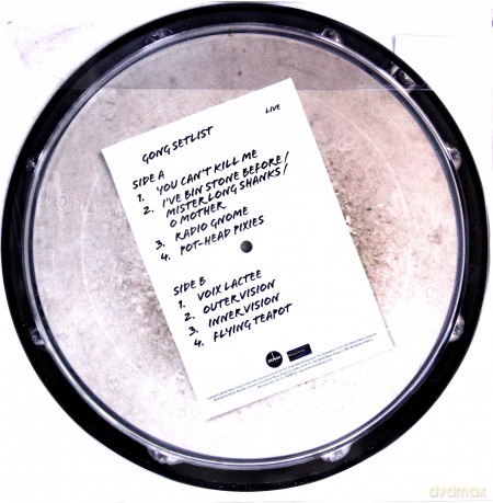 Gong: Access All Areas (Picture) [Winyl]