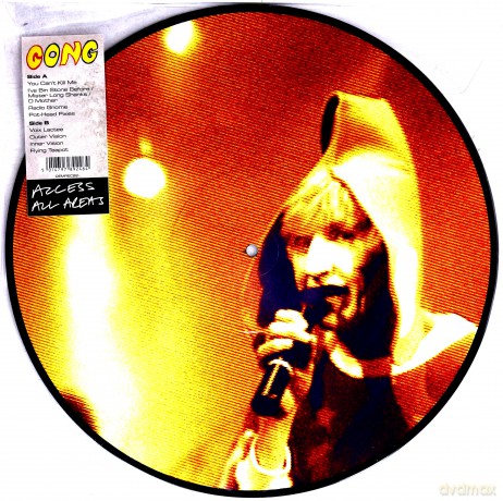 Gong: Access All Areas (Picture) [Winyl]
