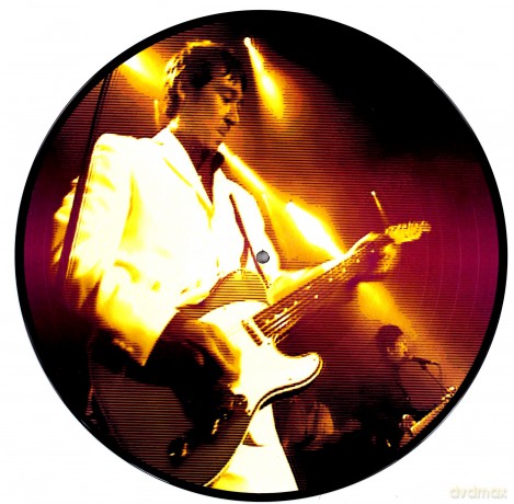 Buzzcocks: Access All Areas vol. 2 (Picture) [Winyl]